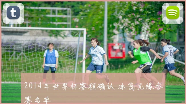 2014年世界杯赛程确认 冰岛无缘参赛名单