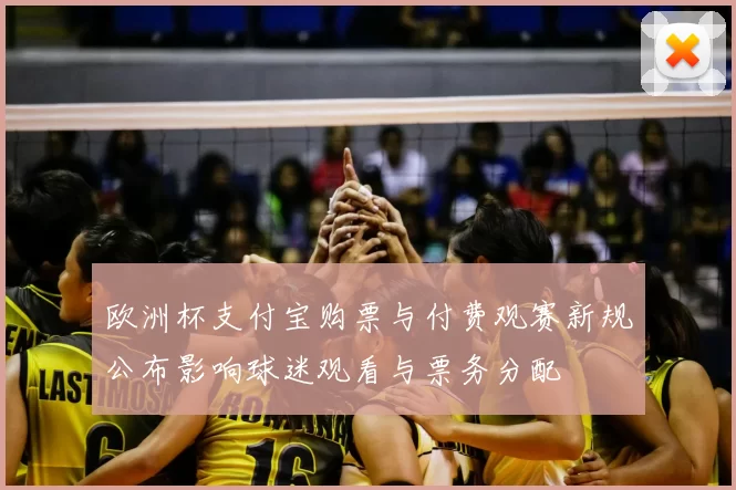 欧洲杯支付宝购票与付费观赛新规公布影响球迷观看与票务分配